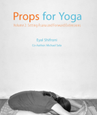 Eyal Shifroni: Props for yoga 2. 