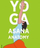 Yoga asana anatomy